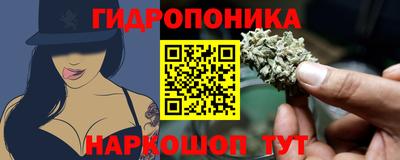 индика Кумертау