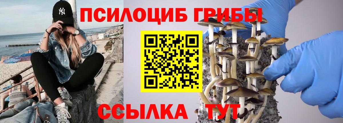 Жуковский  Псилоцибиновые грибы Psilocybine cubensis  Вход с VPN 